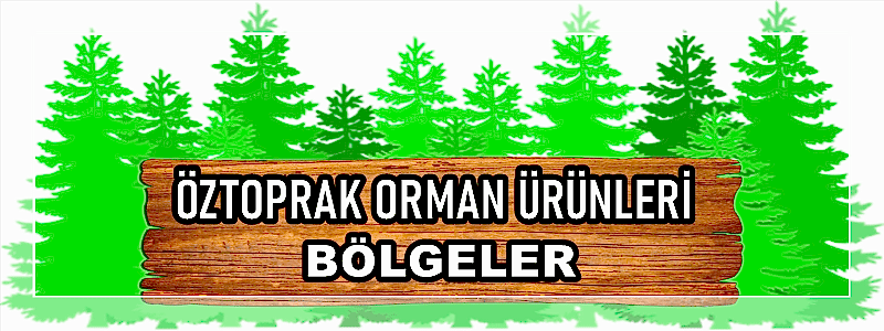 BÖLGELER