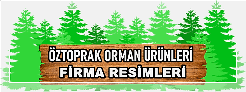 FİRMA RESİMLERİ